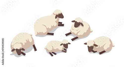Isometric sheep flock resting on white background