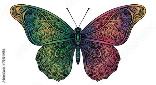 Colorful butterfly with intricate patterns