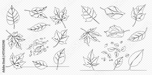 Continuous line art drawing of various autumn leaves falling and resting, showcasing different shapes and states of foliage in a minimalist style.