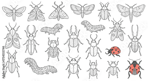 Collection of intricate patterned insects and bugs art. 