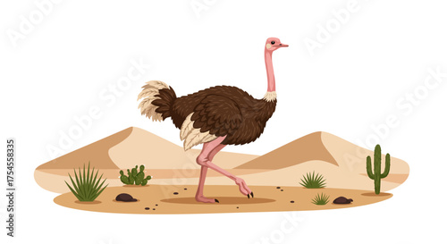 Cartoon Ostrich Walking in a Desert Landscape Illustration