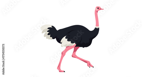 Cartoon Ostrich Walking with Pink Legs and Black Feathers