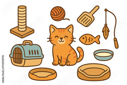 Cute tabby kitten surrounded by pet supplies and accessories