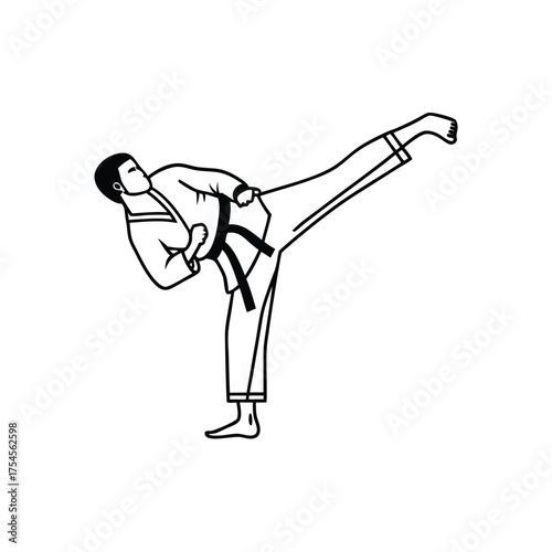 Martial arts silhouette isolated on transparent background