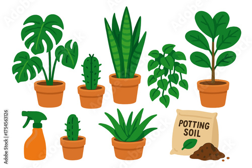 Popular indoor houseplants in terracotta pots with potting soil and spray bottle