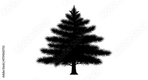 Eastern white pine silhouette. This image depicts the silhouette of an eastern white pine tree with needle-like foliage and symmetrical shape. Vector clipart illustration design