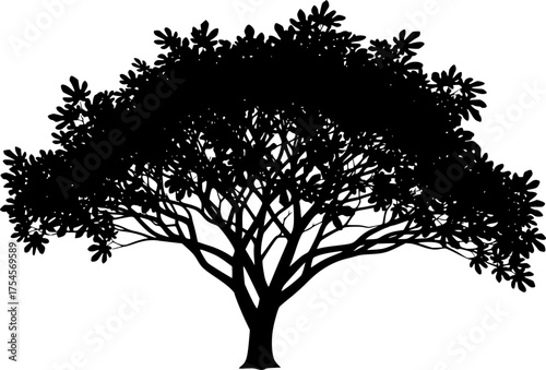 Fig tree silhouette. This image shows a black silhouette of a fig tree with detailed branches and foliage, also known as a ficus tree or fig plant. Vector clipart illustration design