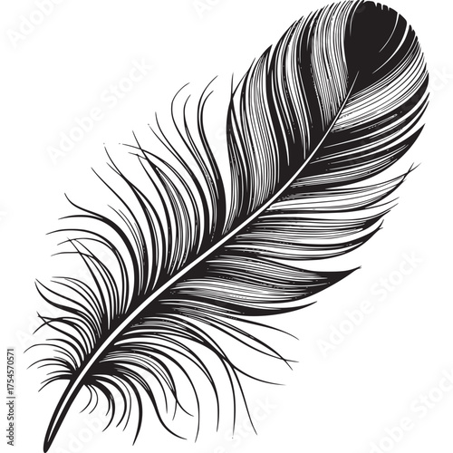 Vector art of black feather