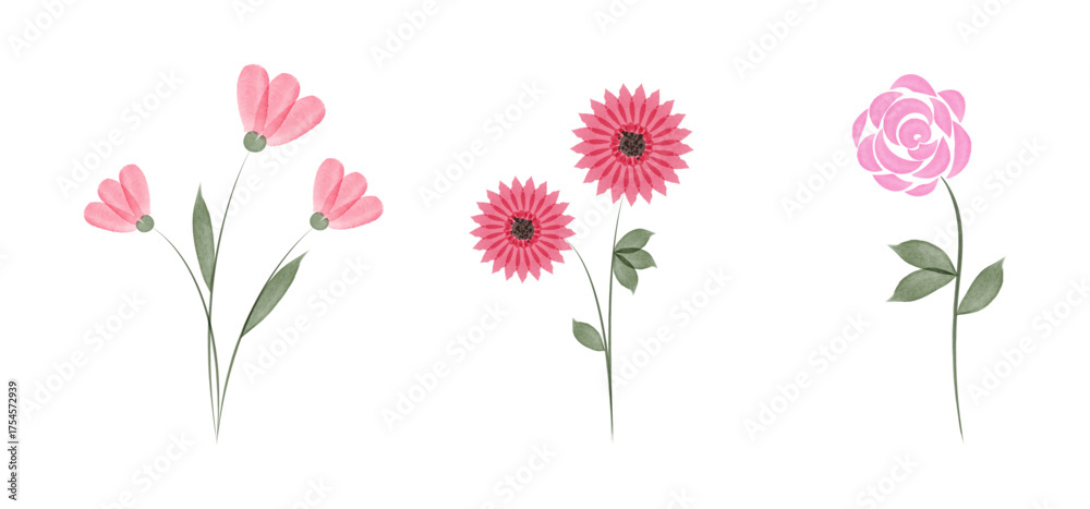 Naklejka premium Three different pink watercolor flower illustrations are shown on a white background. Each has a stem and green leaves. The flowers are pink with artistic detail.