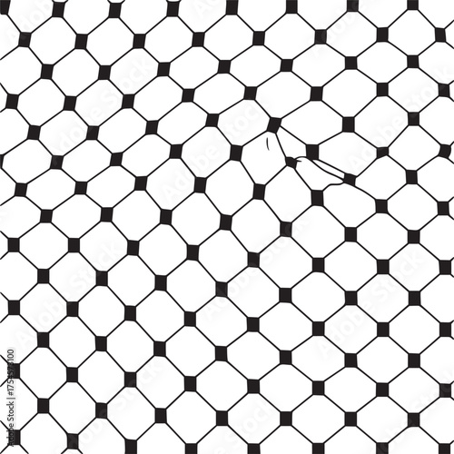 Vector art of keffiyeh pattern