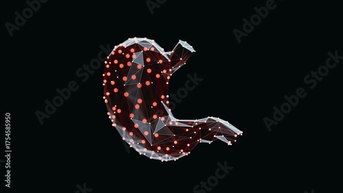 3d render of a vibrant, low-poly stomach over dark background. Human Stomach wireframe made of light points. 3d illustration
