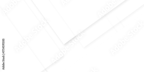 Minimal vector tech gradient white, gray creative triangle geometric technology space rectangle randomly arranged white lines transparent background. luxury web overlap presentation design.	