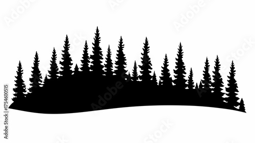 Silhouette of a dense evergreen forest landscape with varying tree heights and a gentle sloping base area