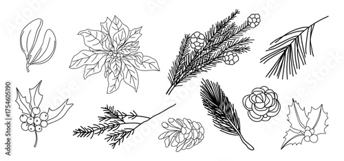 Vector line art of winter greenery and botanical elements including poinsettia, holly leaves, pine branches, cones, and berries. Elegant black and white Christmas floral illustration