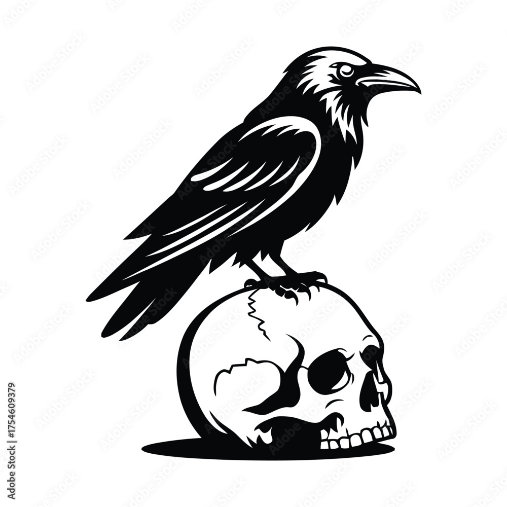 Fototapeta premium Black silhouette of a raven perched on a human skull against a white background