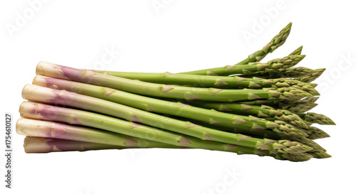 Isolated bunch of fresh asparagus spears in stack, raw green vegetable, spring season food