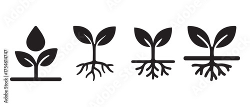 Plant Growth Stages Icon Set. Seedling to Mature Rooted Plant Vector Illustration.