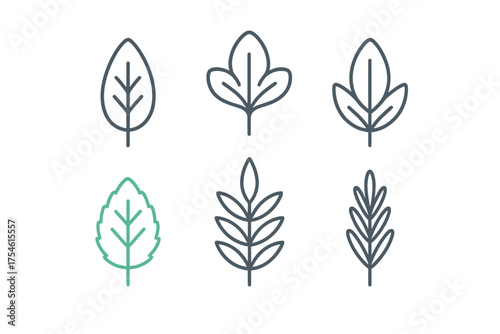 Minimalist outline icons set featuring diverse natural leaves and organic foliage shapes