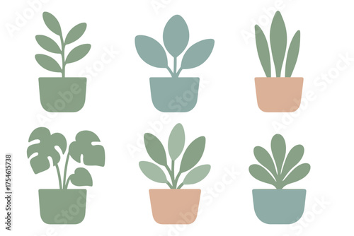Set of six different stylized indoor houseplants in pastel colored pots isolated on white background