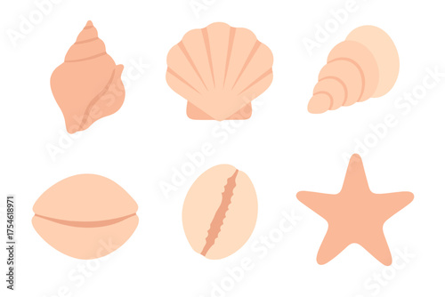 Assortment of marine life elements including spiral shells scallop and starfish in soft pastel colors