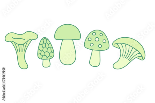 Collection of various wild forest mushrooms and edible fungi shapes including chanterelle and morel
