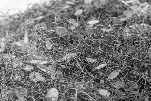 Prisoner Of War Camp Glasses