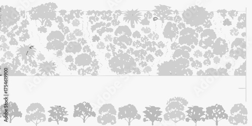 Stylized top down view of dense forest canopy and silhouetted trees below