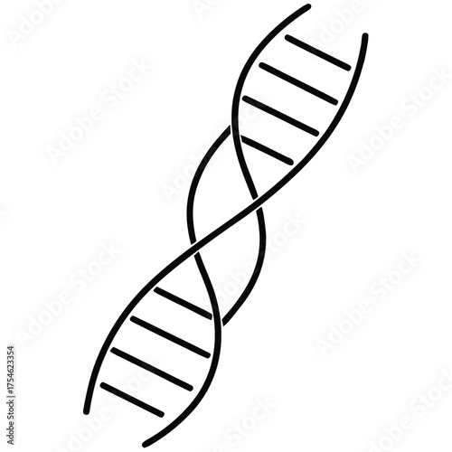 The Structure and Function of DNA a Molecular Blueprint of Life