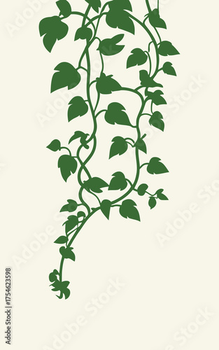 Illustration of ivy plant with green leaves on white background