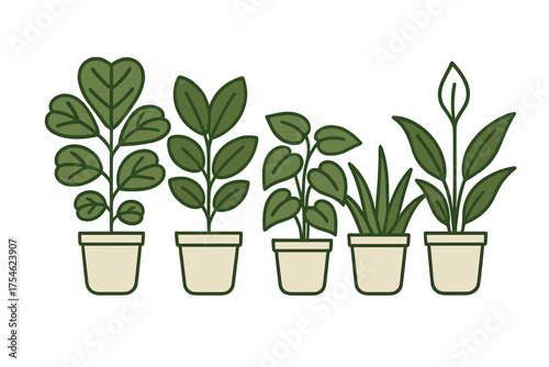 Collection of various green potted houseplants displayed in simple graphic style
