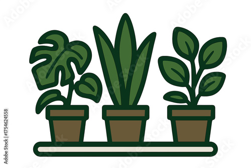 Diverse green potted houseplants arranged on a narrow shelf for interior design decor
