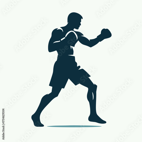 silhouette of a boxer