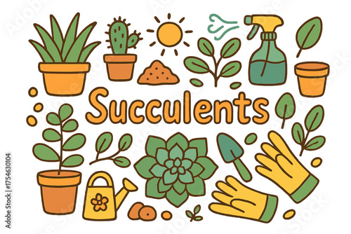 Colorful Succulent Doodle. Succulents. Hand-drawn doodle illustration of Succulents. Aloe, cactus, jade plant,