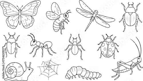 Insect Doodle Collection: A meticulously crafted collection of various insect outlines, perfect for illustrating the intricate beauty of the natural world, ready for coloring, and educational use.