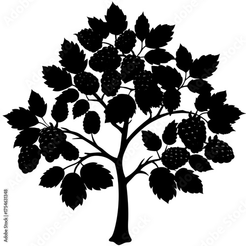 Black silhouette of a blackberry bush laden with ripe berries and leaves on a white background