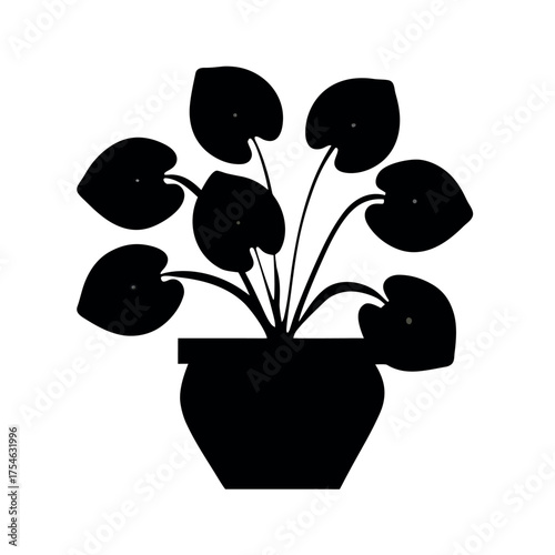 Blossoming flowers in a pot add a touch of spring nature and color to any garden or home decoration