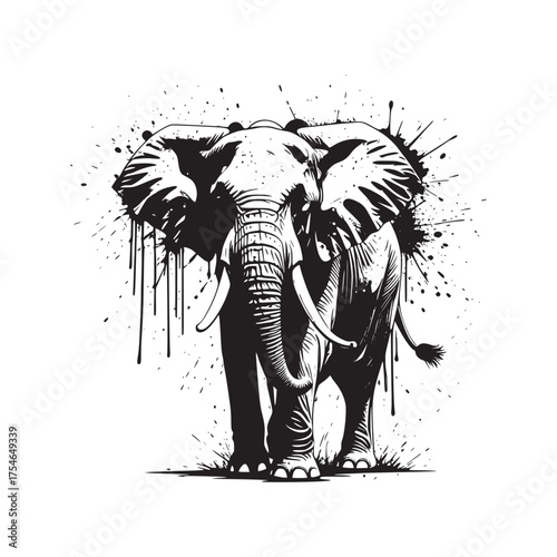 elephant