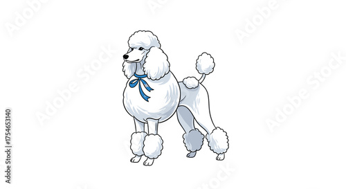 A beautifully groomed white poodle with a blue ribbon around its neck stands proudly.