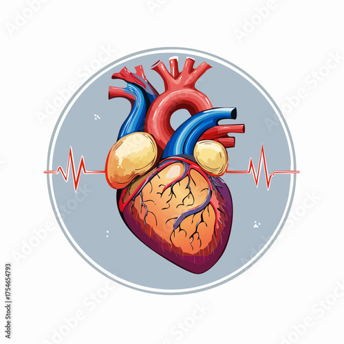 Vibrant illustration depicting a human heart with vital arteries and a visual pulse indicator
