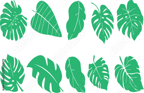 Tropical Green Leaves Seamless Pattern Exotic Floral Background Wallpaper