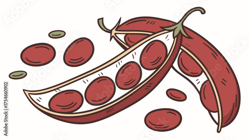 Illustration of two open bean pods with red beans and loose beans scattered around them on white background