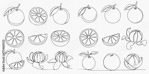 Continuous line art illustrations of oranges in various forms, including whole, sliced, half, and peeled citrus fruits, on a transparent background.