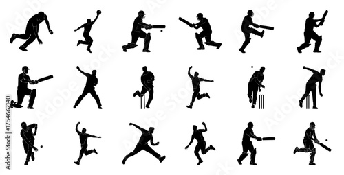 Cricket players in action silhouettes sport