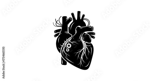 Anatomical Human Heart Illustration in Black and White.