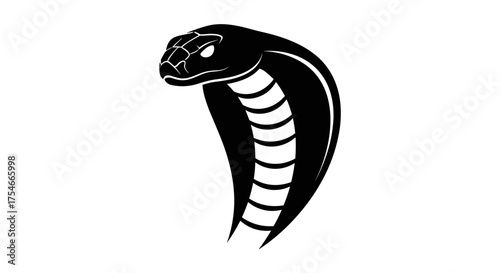 Cobra Snake Silhouette with Hood Displayed.