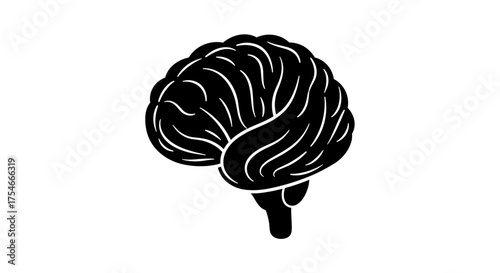Human Brain Silhouette Illustration on White Background.