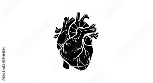 Human heart illustration in black and white with anatomical details.