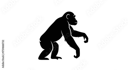 Silhouette of a chimpanzee in a side view black animal.