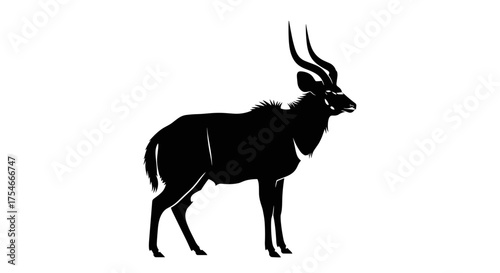 Silhouette of a Majestic Kudu Antelope with Spiraling Horns.