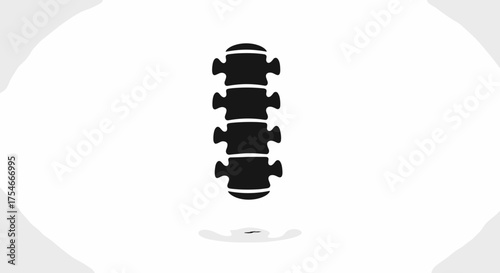 Spine Anatomy Illustration Depicting Vertebral Column Structure.